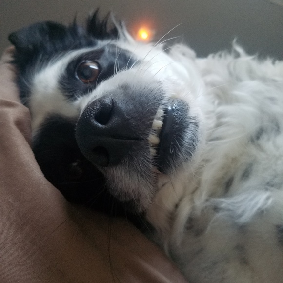 Meet your Posher, Tijana - Picture 1 of 1